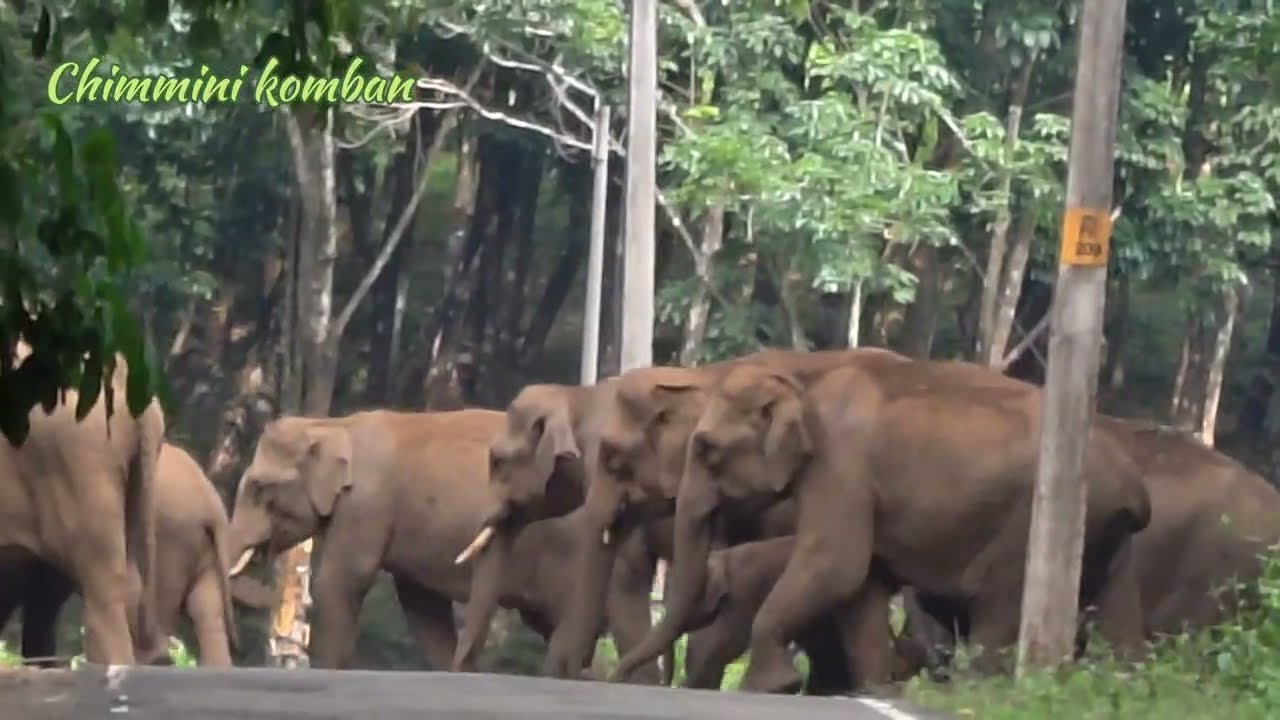നിയന്ത്രിക്കാൻ പറ്റില്ല !നമ്മൾ സൂക്ഷിക്കുക 