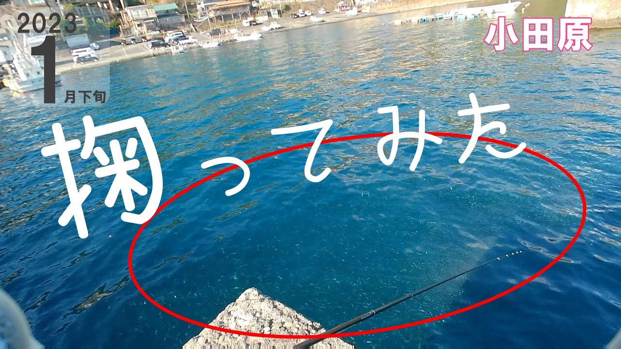 #24 【堤防】神奈川 小田原～小魚が湧きすぎてたので掬ってみた～