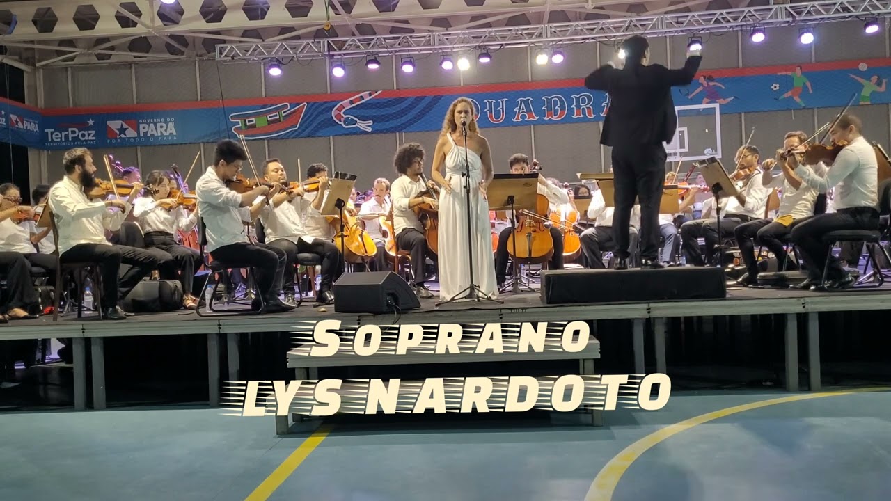 Der Hölle Rache kocht in meinem Herzen - Ópera Die Zauberflöte (Mozart) Soprano Lys Nardoto