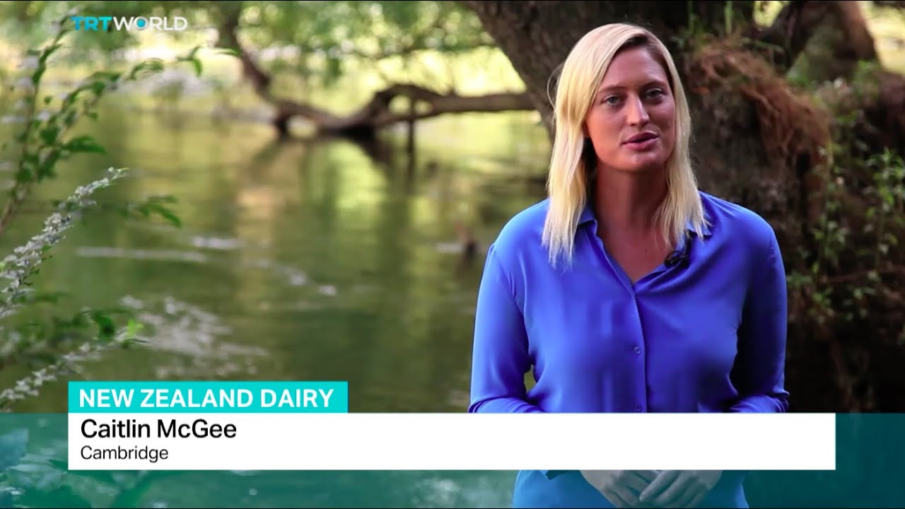 New Zealand industry challenged by drop in milk prices, Caitlin Mcgee reports