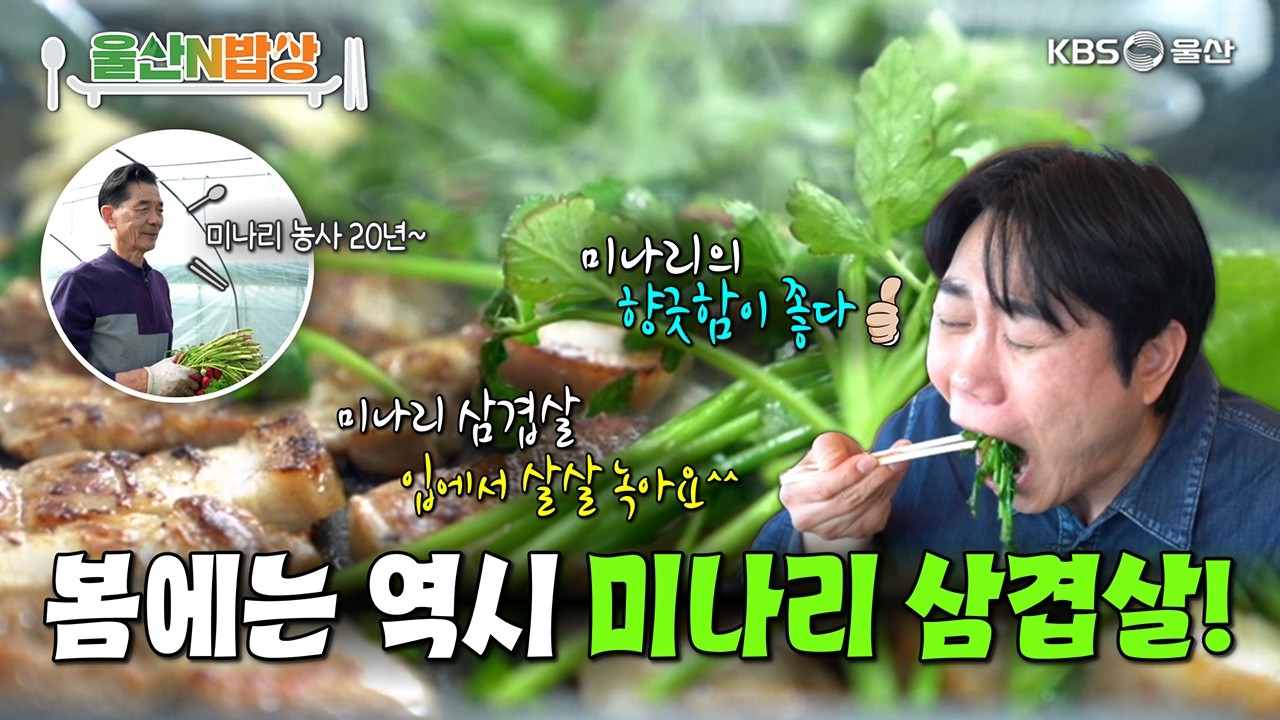 농부가 키운 봄의 맛! 미나리 삼겹살 [KBS울산 보물창고 - 울산N밥상] 26.3.10 방송