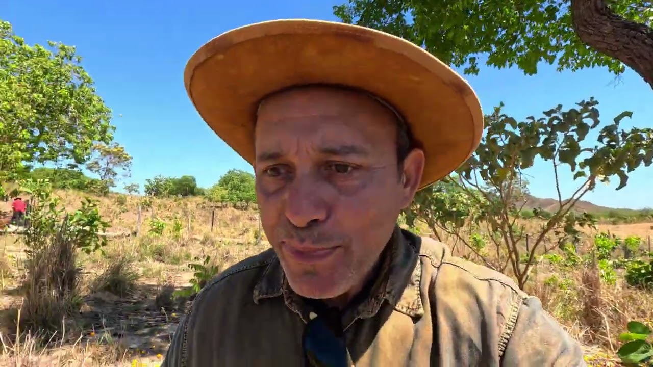 A Venda essa Fazenda de 15 alqueires e 80 Litros - Niquel&acirc;ndia GO
