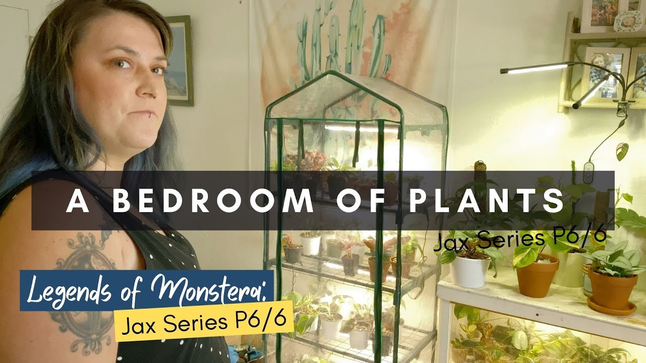 Bedroom Plant Tour | Growing & Propagating Houseplants in Desert Arizona | Jax Series | Ep 145