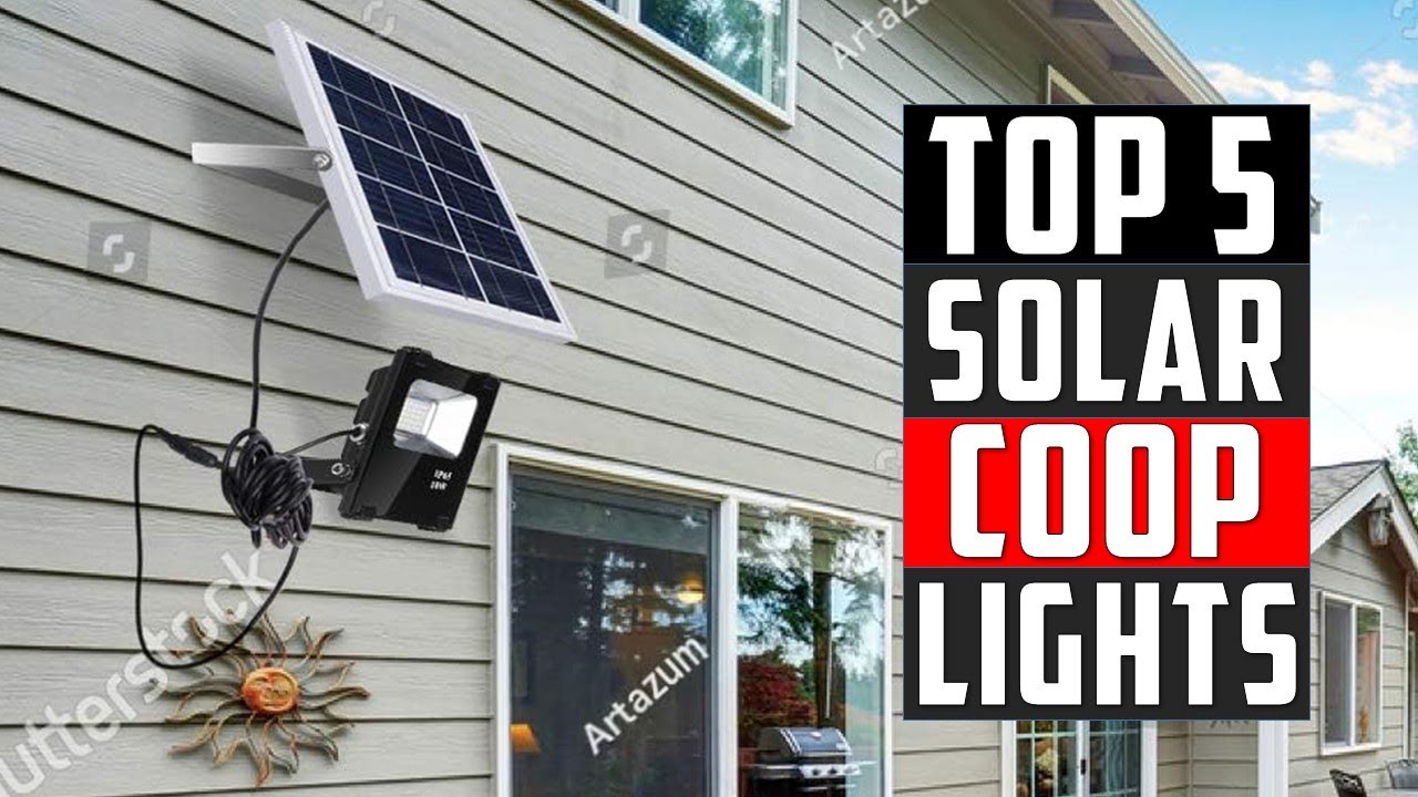 ✅Top 5 Best Solar Chicken Coop Lights  in 2024