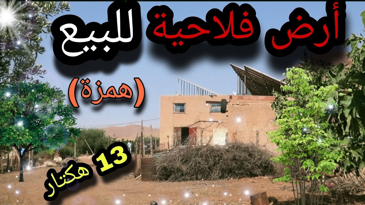 أرض فلاحية🌳 للبيع في الجهة الشرقية 13 هكتار بثمن مناسب (همزة)