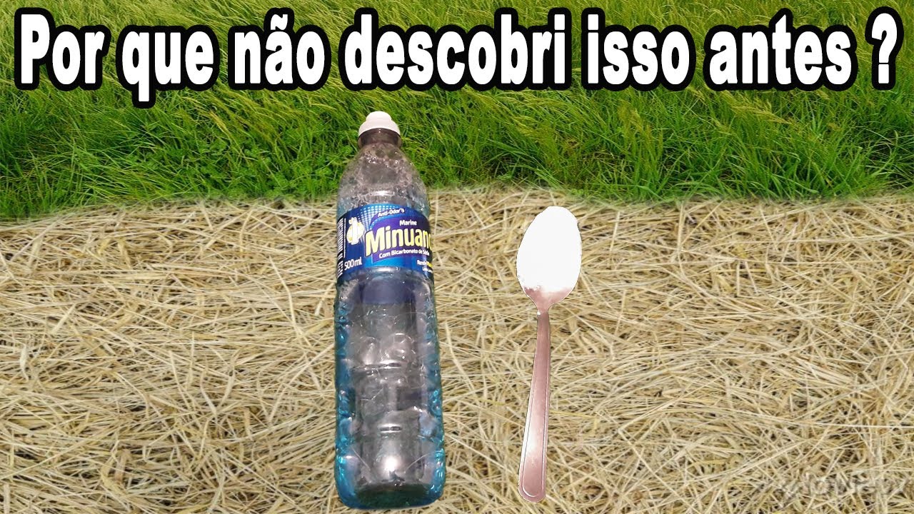 ДОМАШНИЕ УБИЙСТВА (СУХИЕ ВСЕ) МЕНЕЕ ЧЕМ ЗА 0,50 ЦЕНТА - БЕЗУМНЫЕ РАСТЕНИЯ