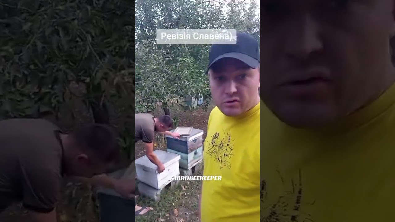 На пасіці Фабро Славена #fabro #fabrobeekeeper