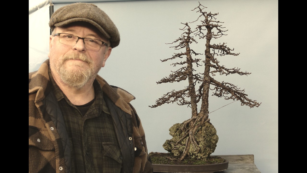 Japanese Larch Bonsai Restoration Part 2 by Graham Potter