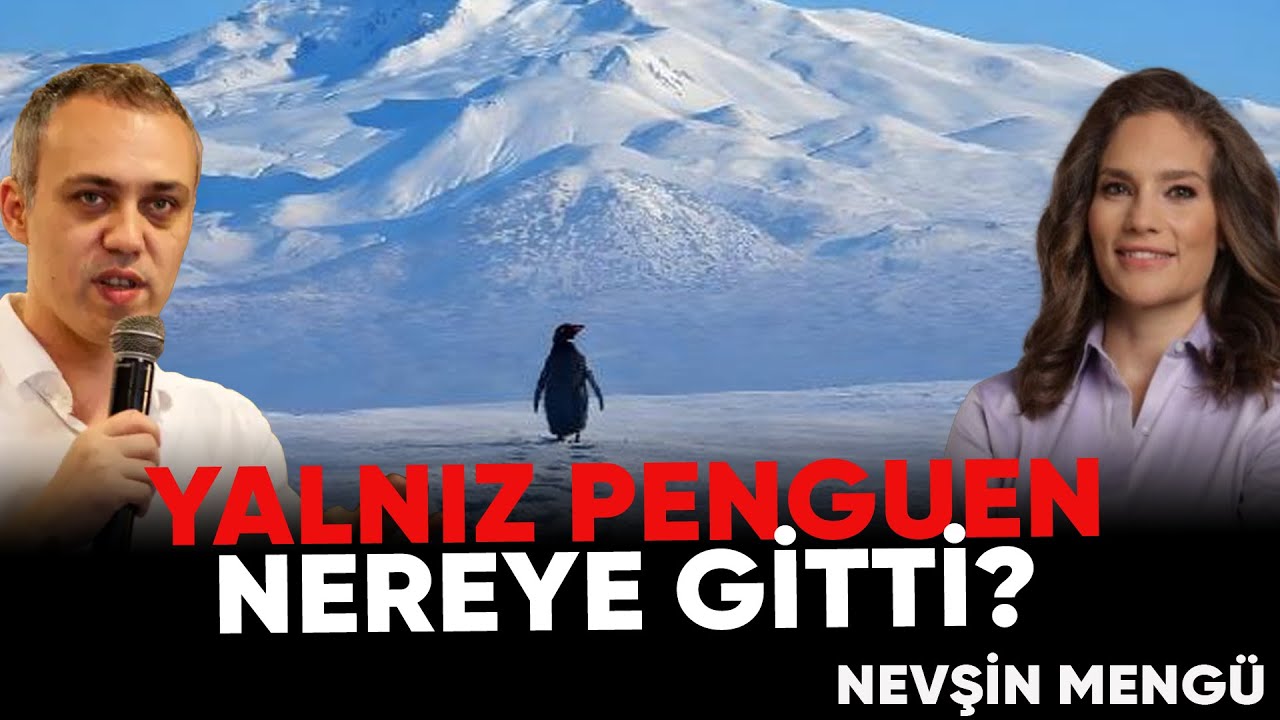 Bir Penguenden Neler Çıktı? | Bunlar | Nevşin Mengü - OSD