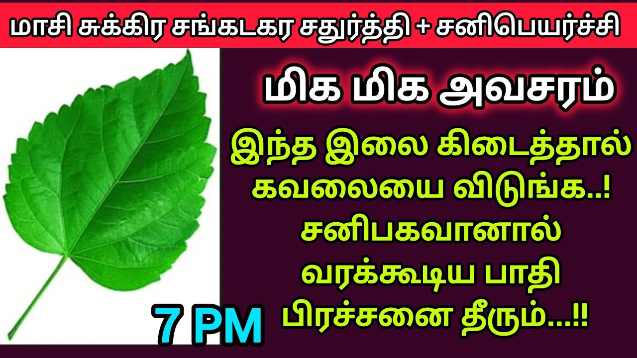 🌺மாசி சுக்கிர சங்கடகர சதுர்த்தி + சனி பெயர்ச்சி + விநாயகர் சதுர்த்தி வழிபாடு..! #sanipeyarchi #tamil