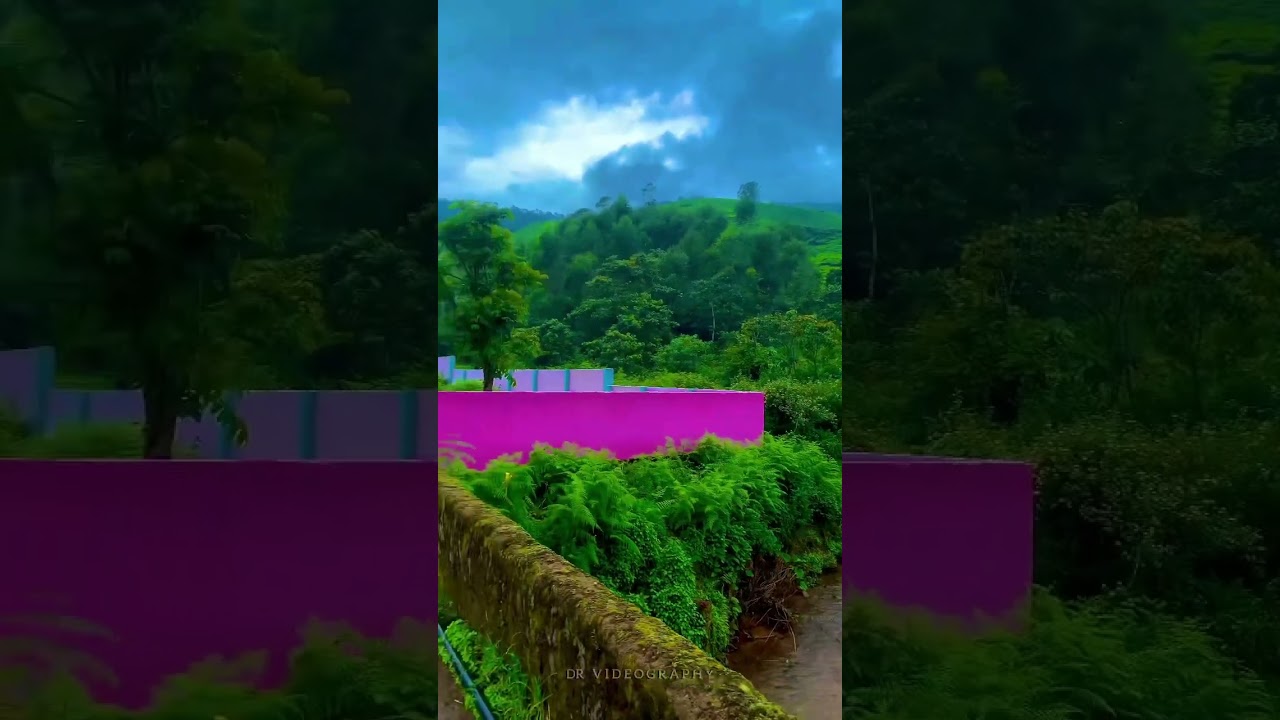 🍃 LETCHMI ESTATE 🍃 MUNNAR🍃 #travel #nature #love #photography #naturelovers #travelvlog #vlog