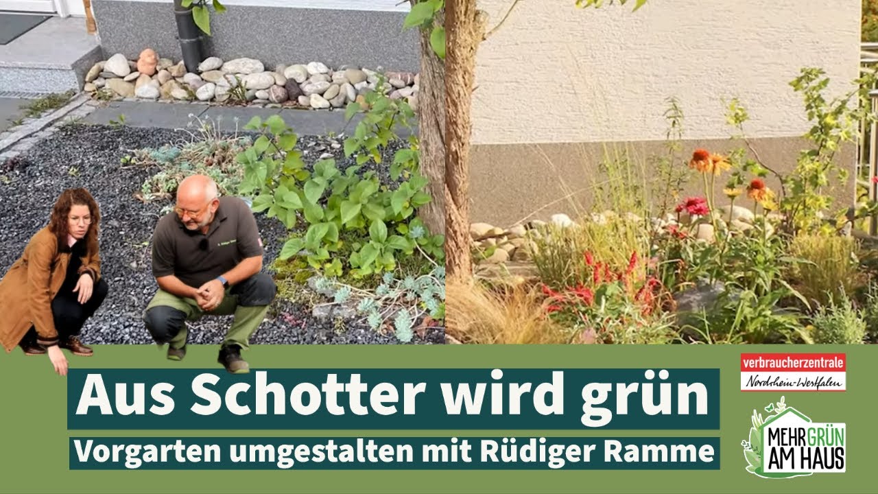 Aus Schotter wird Grün – Oase Vorgarten