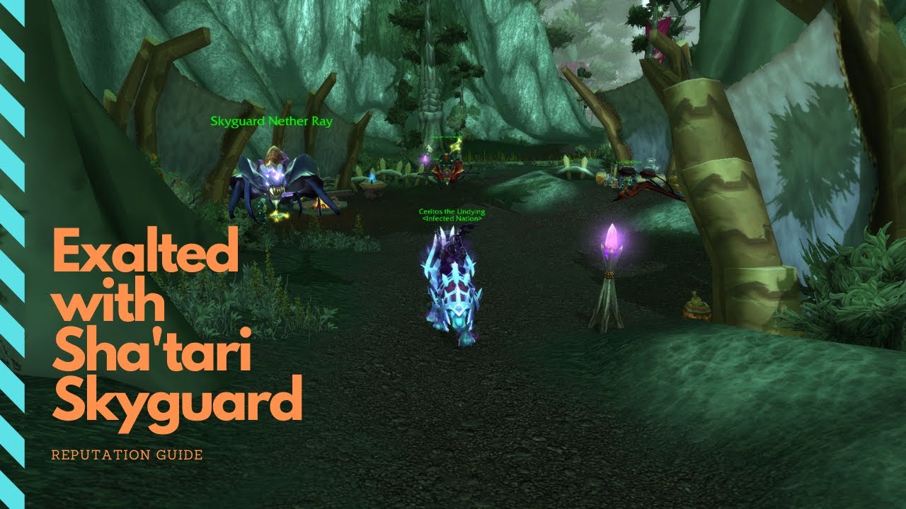 Sha'tari Skyguard Reputation Farm Guide (1 day to exalted) [2020]