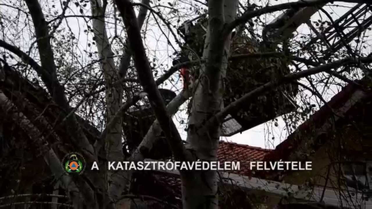 Emelőkosárban rekedt emberek mentése | TŰZOLTÓK BEVETÉSEN