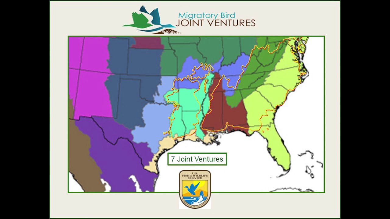 Shortleaf Pine Demonstration Areas