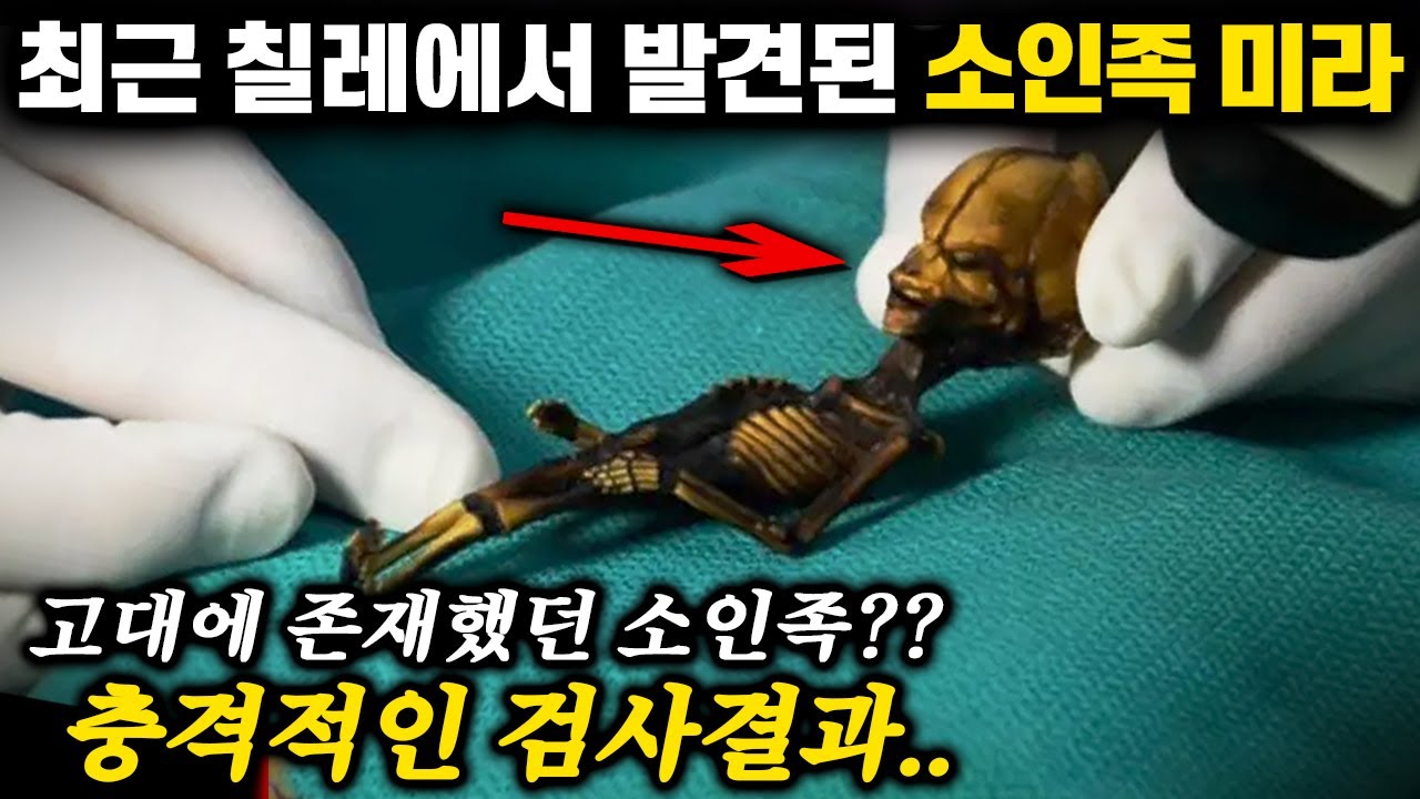칠레 광산에서 발견된 '소인족 미라'. 과연 이것의 정체는?? | 미스터리