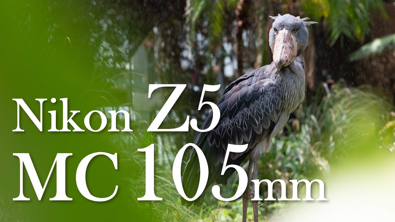 Nikon Z5 + MC105mmf2.8 VR S 動物作例~マクロから中望遠まで圧倒的描写性能~