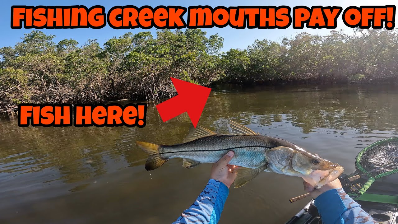 Fishing the Charlotte Harbor! Inshore Kayak fishing in Florida | Where to fish in early Spring!