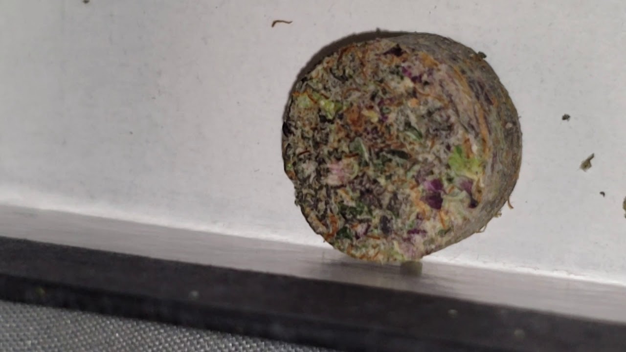 #how to make pucks for rosin! To get best yeild you need this!!