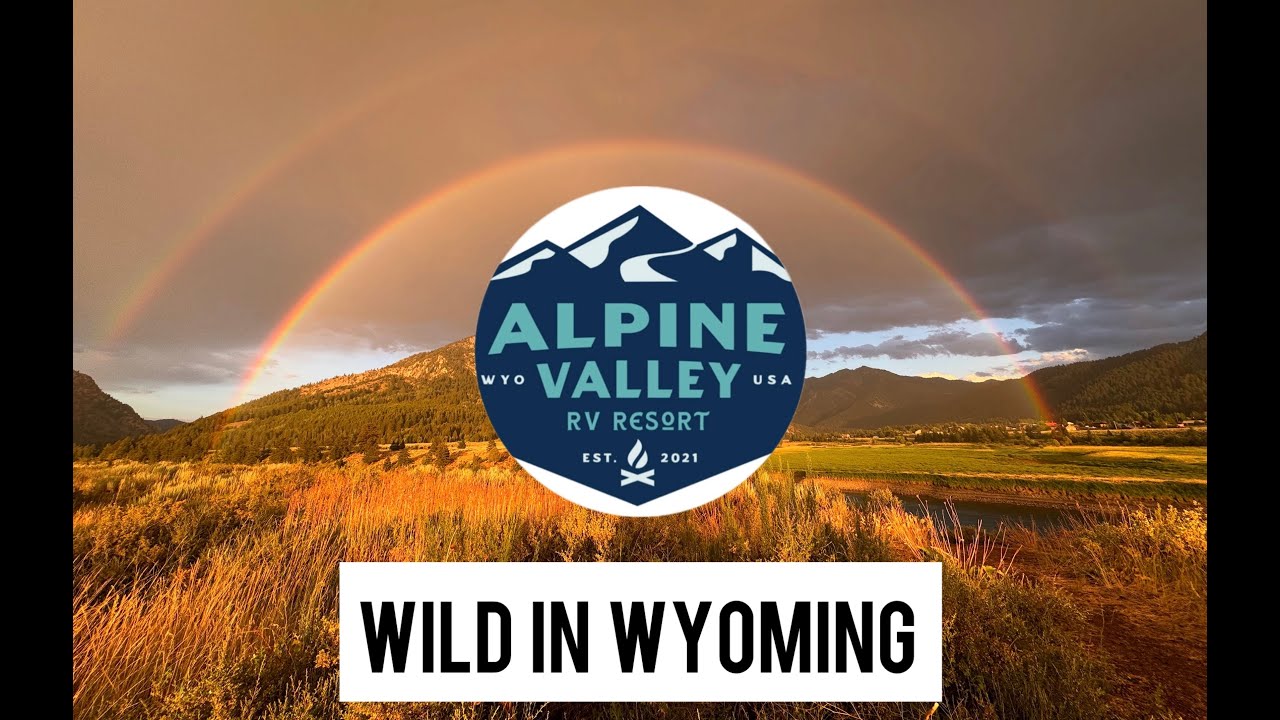 Alpine Valley RV resort, horse back riding, white water rafting, jackson hole, off leash dog area