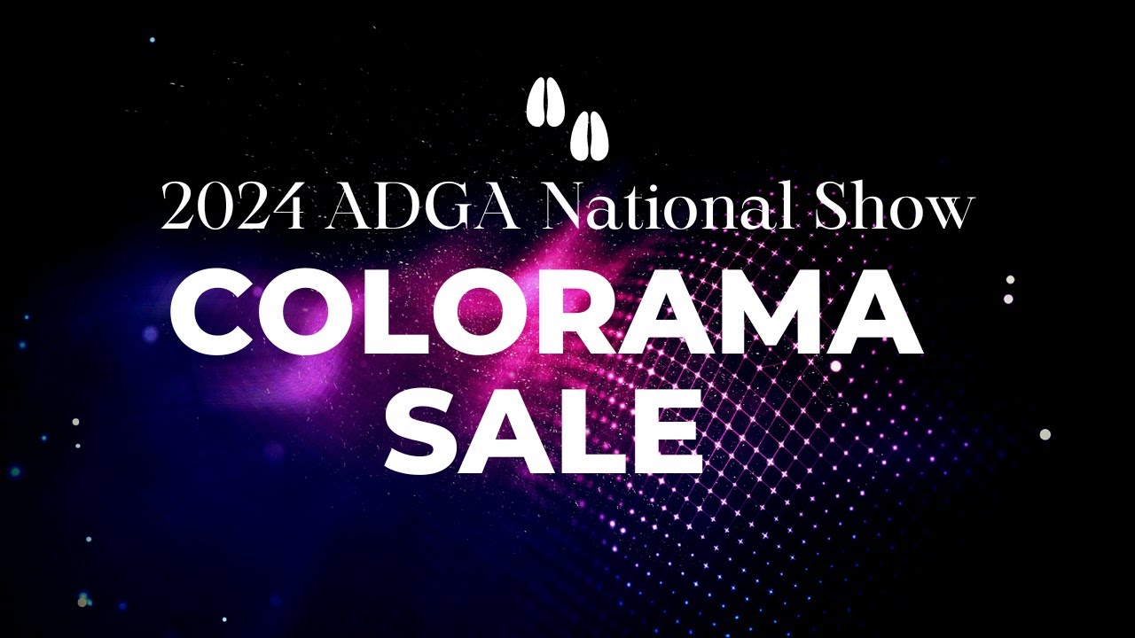 2024 ADGA National Show Colorama Sale