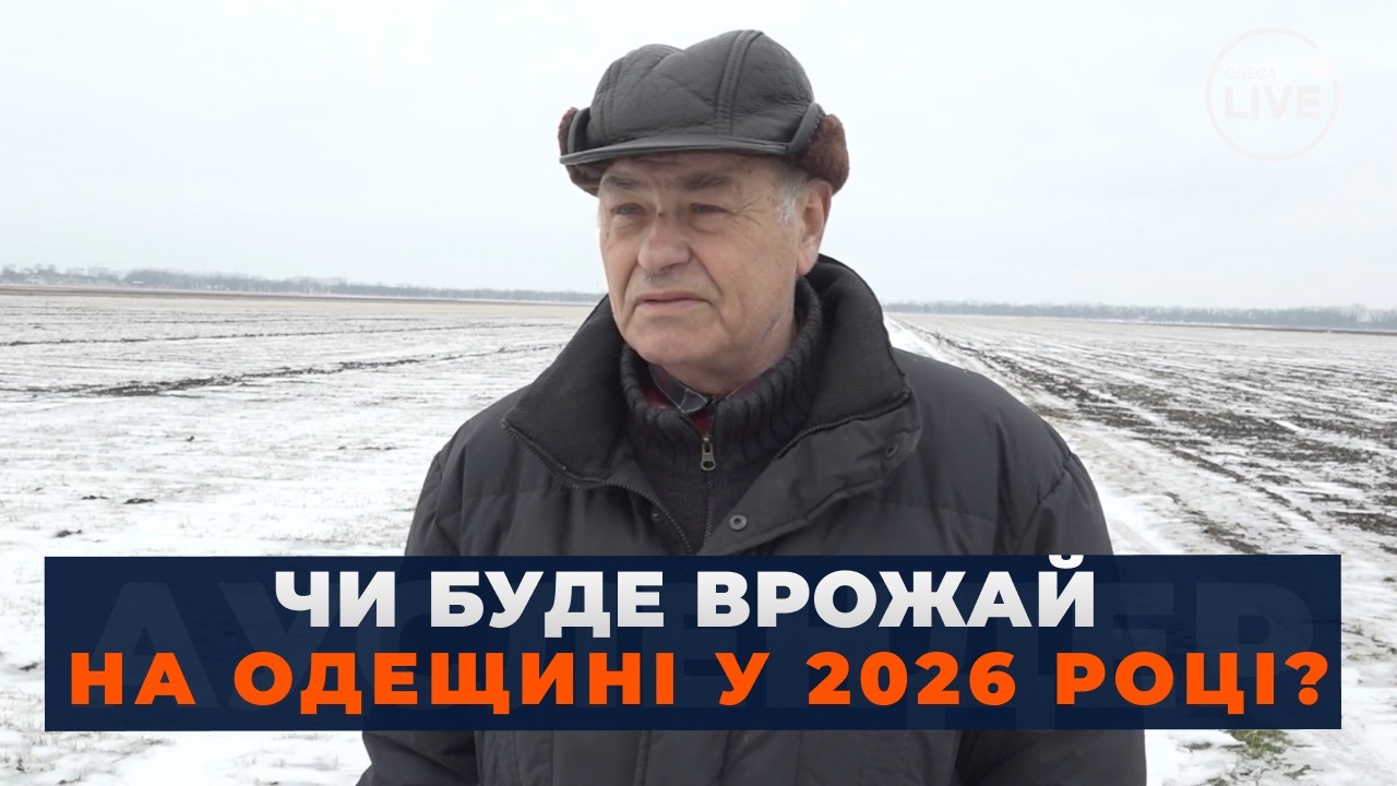 ⚡️Урожай под УДАРОМ МОРОЗОВ. Будет ли Украина с хлебом? Вот как холод повлиял на пшеницу Одессы
