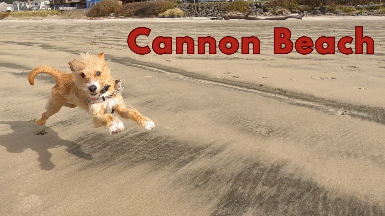 Cannon Beach | Oregon Coast | Highway 101 | Van Life