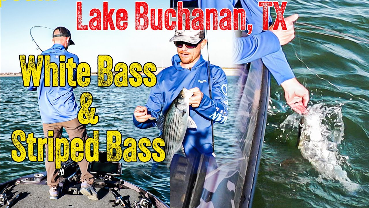 Fishing for White Bass & Striped Bass on Lake Buchanan - #2 SouthWEST