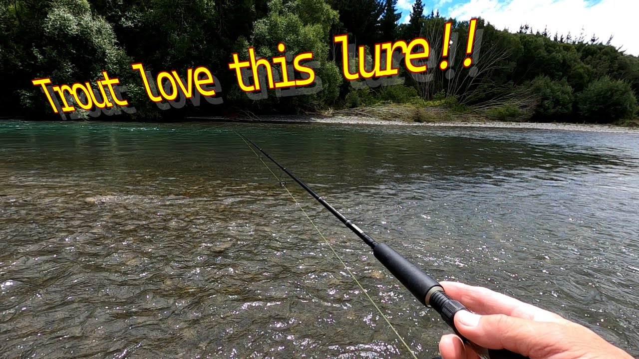TROUT FISHING in New Zealand for MONSTER Browns