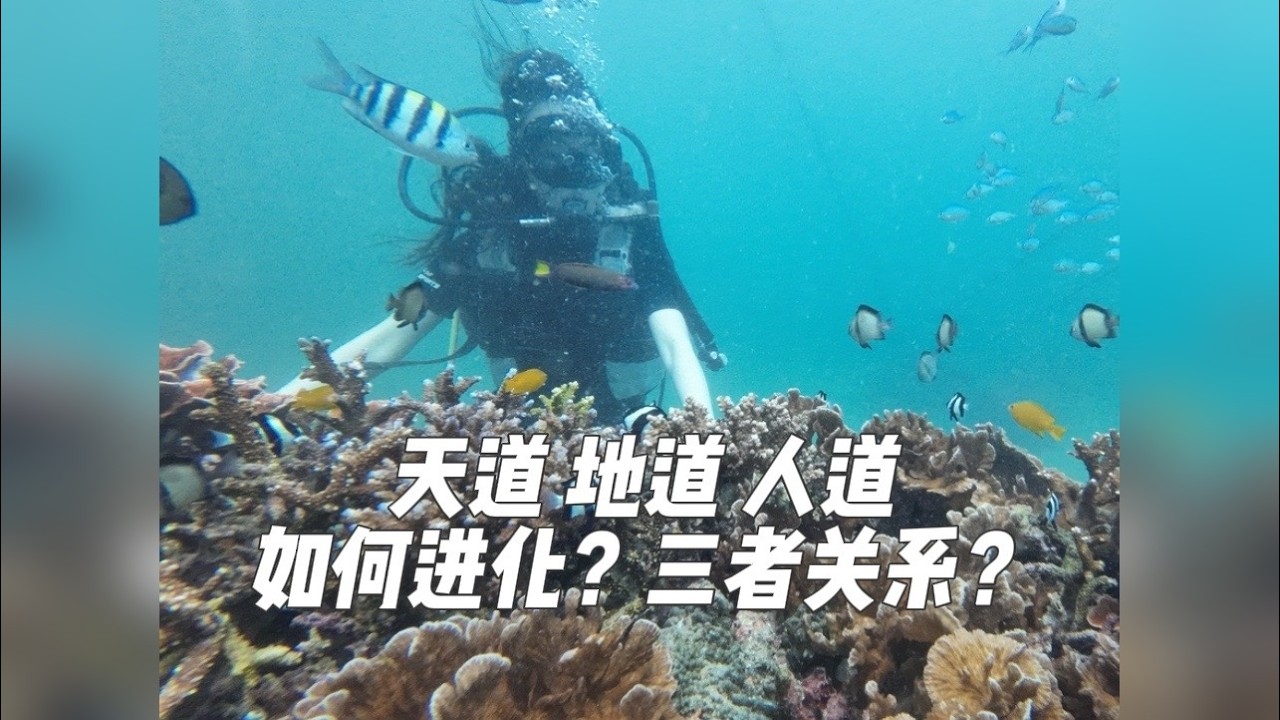 天道 地道 人道 如何衍化？三者关系？