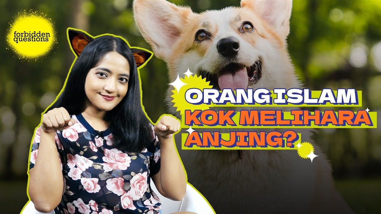 ORANG ISLAM KOK PELIHARA ANJING? - FORBIDDEN QUESTIONS