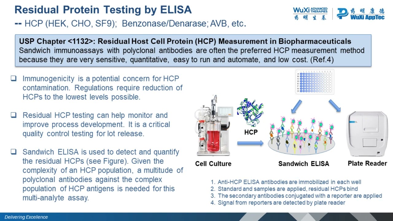 Residual DNA Protein and Mycoplasma Detection in Cell and Gene Therapy Products