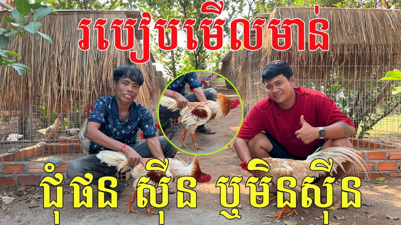 របៀបមើលមា.ន់ជុំផនស៊ីន ឬមិនស៊ីន?