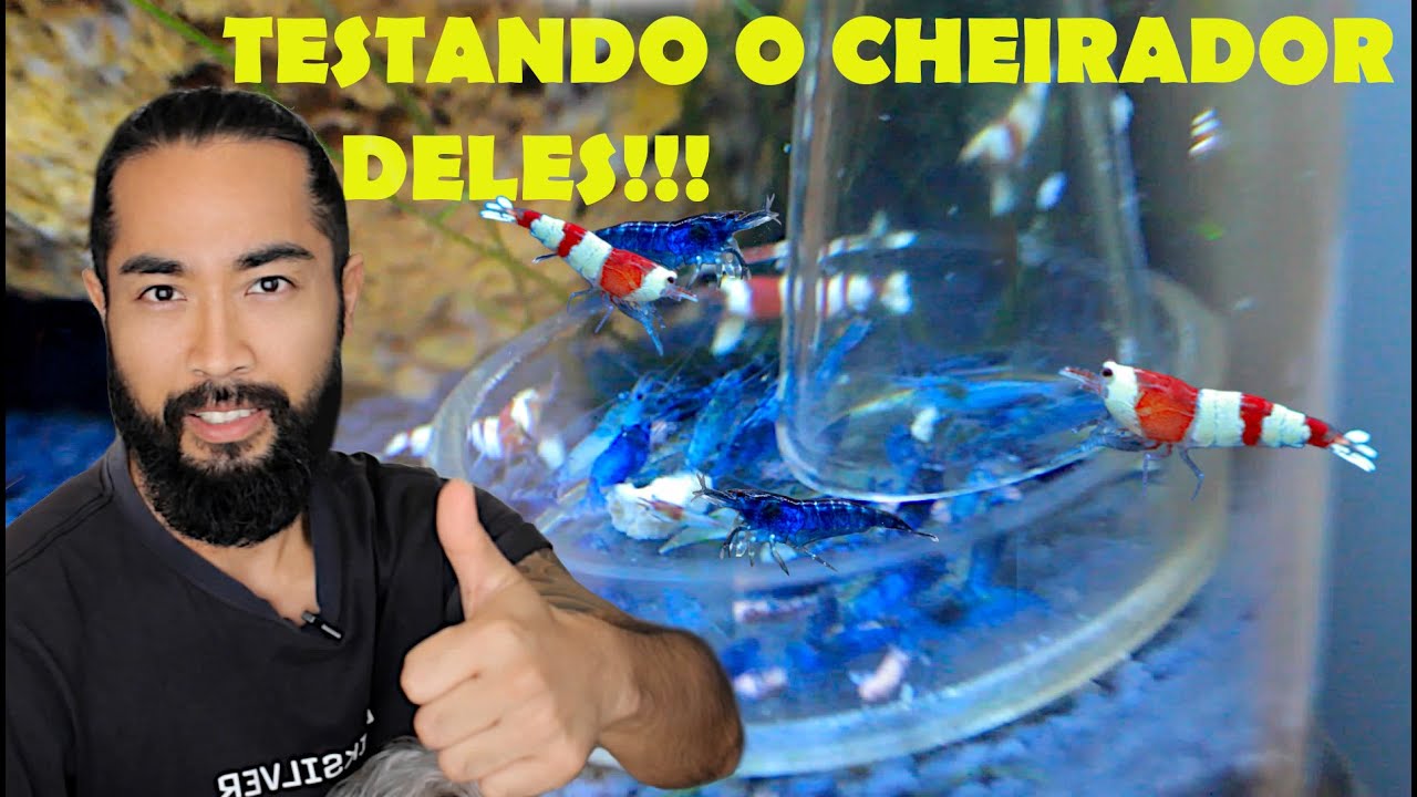 ALIMENTADOR DE CAMARÃO, FUNCIONA?!! Feat. Madruga!!!