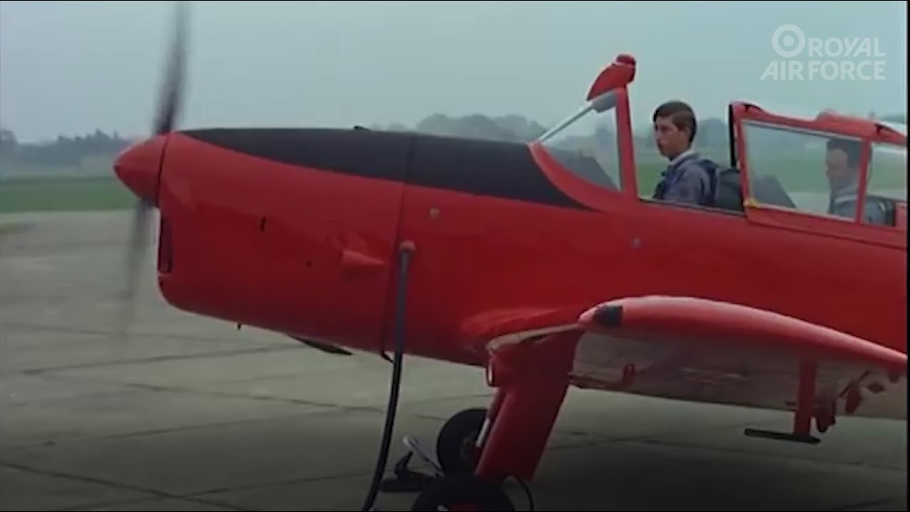 The Royal Chipmunk