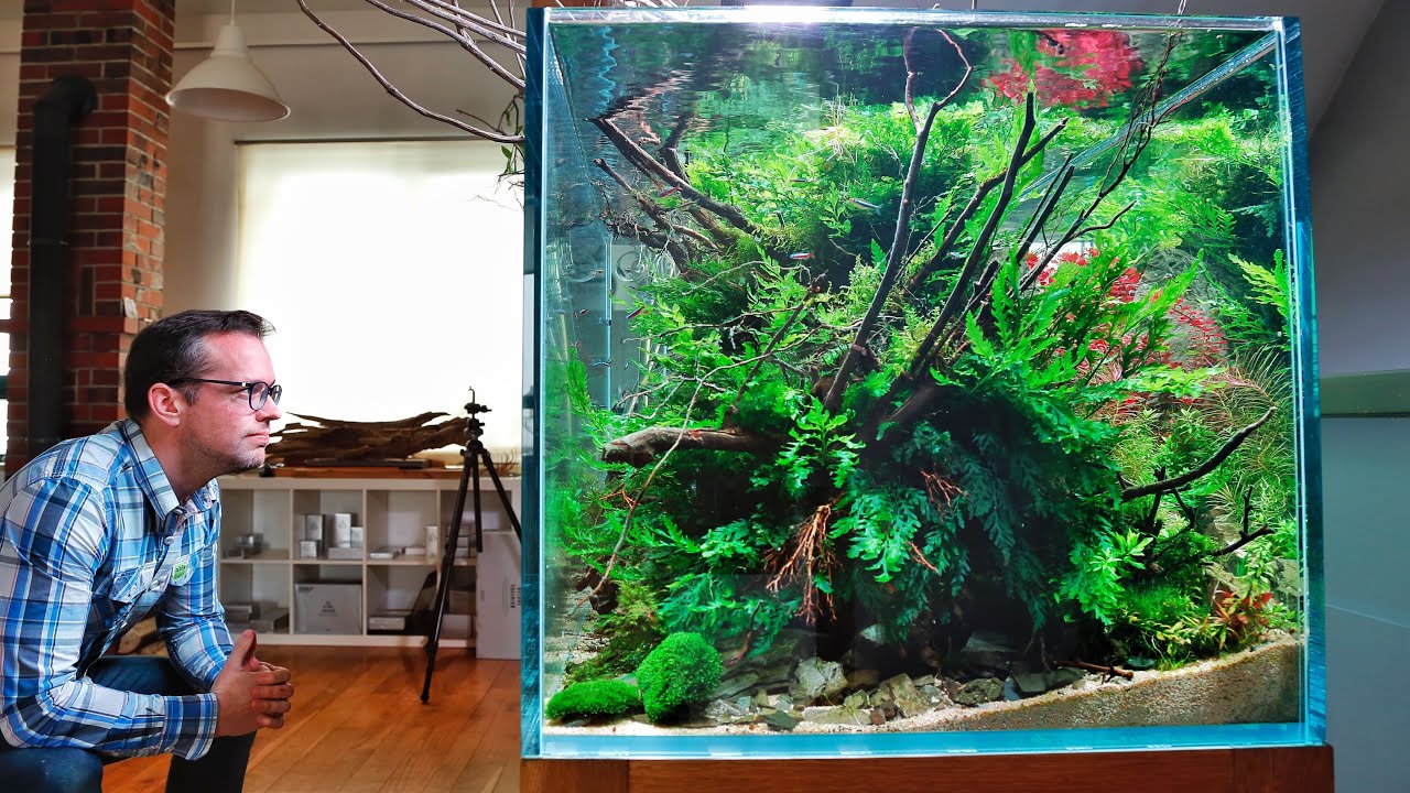 Nature Aquarium Aquascape Therapy (Relaxing Cinematic Edition)