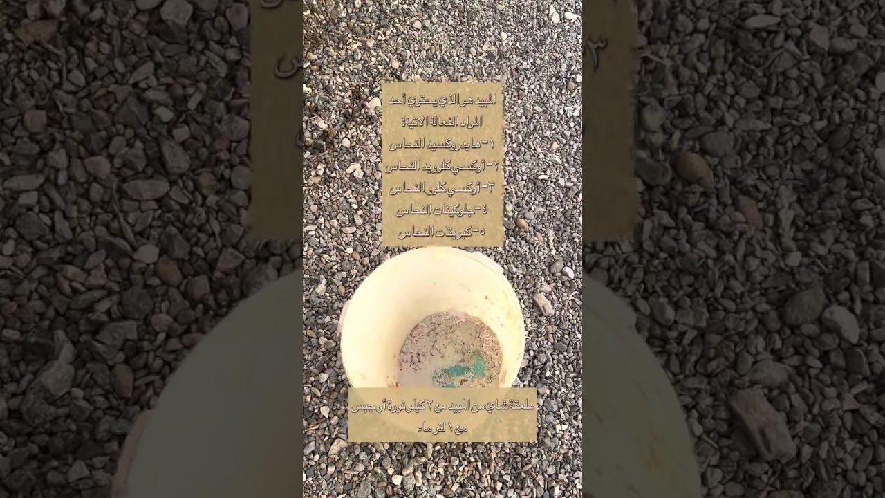 مرض الفوزاريم في المانجو