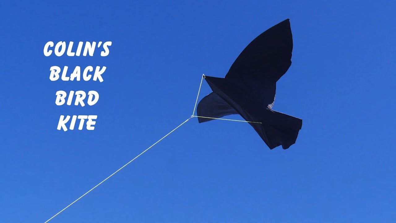 Colin's black bird kite