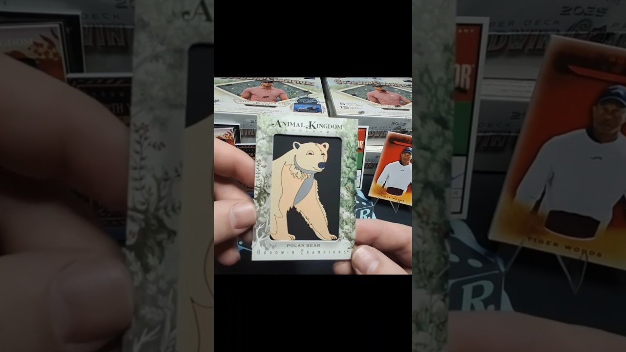 Pretty darn good hobby box rip of 2025 Upper Deck Goodwin Champions. 