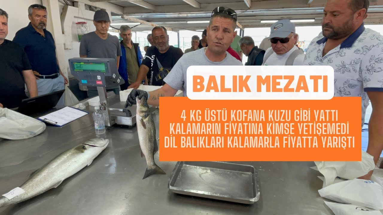 Fiyat artışlarını ağzımız açık izledik ￼31.05.2024 #balık #mezat #balıkmezatı