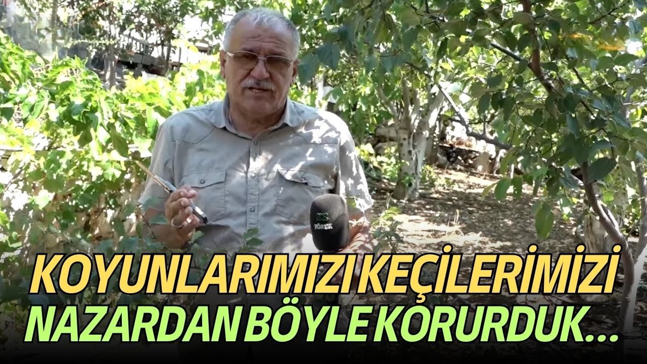 Koyunlarımızı Keçilerimizi Nazardan Böyle Korurduk…