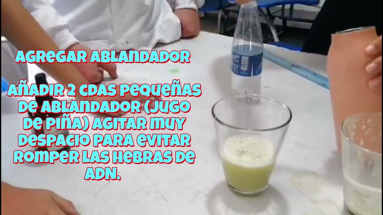 Extracción de ADN vegetal