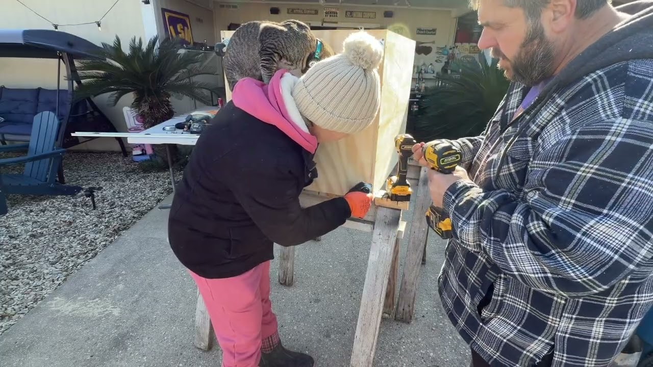 Building a cat litter box cabinet! #carpentrywork #litterboxcabinet #weekendproject #diycabinet