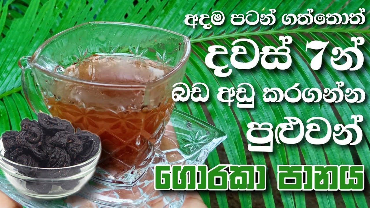 අදම පටන් ගත්තොත් දවස් 7න් බඩ අඩු කරගන්න පුළුවන්| ගොරකා පානය| Goraka panaya | Bada adu wenna