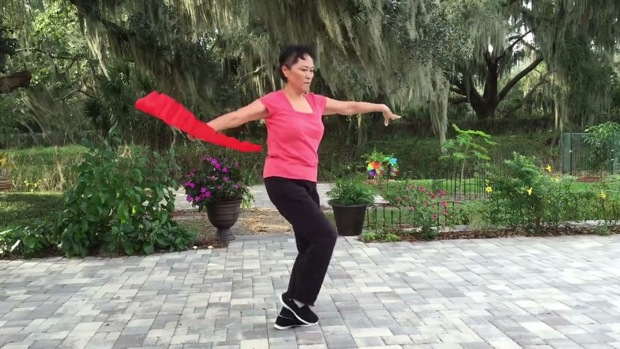 Tai Chi Single Fan