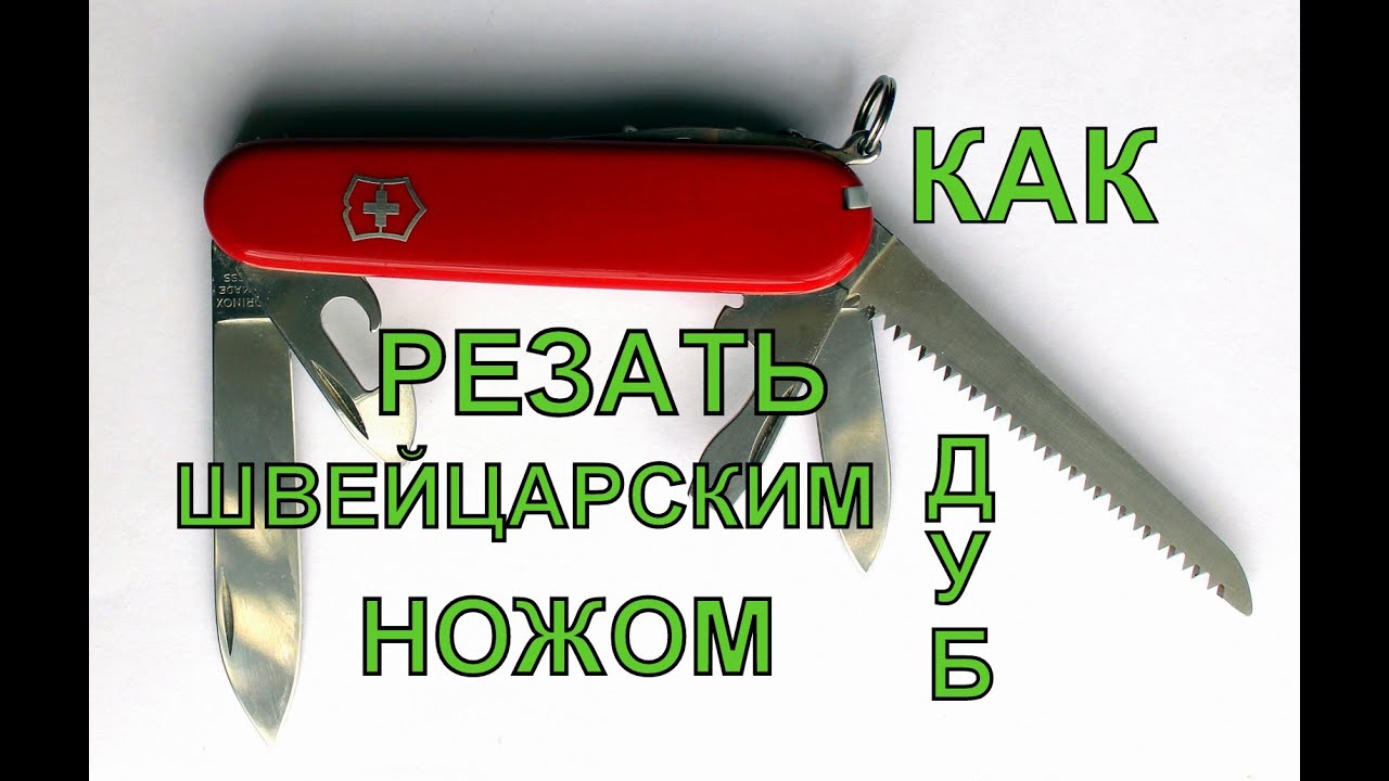 Как перерезать дуб ножом! Карманная швейцарская ножовка. Режет ветку дуба - десять сантиметров.