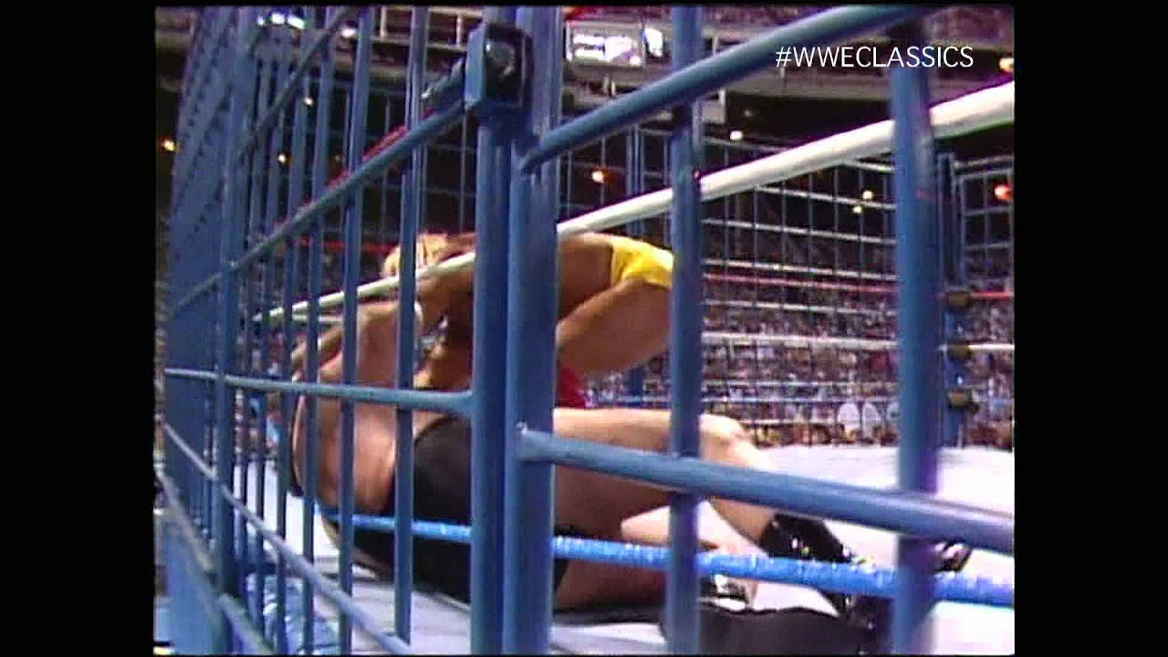 Hulk Hogan 