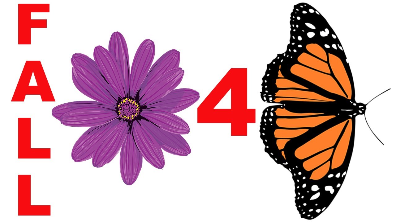 Fall Blooming Native Flowers for Butterflies and Pollinators