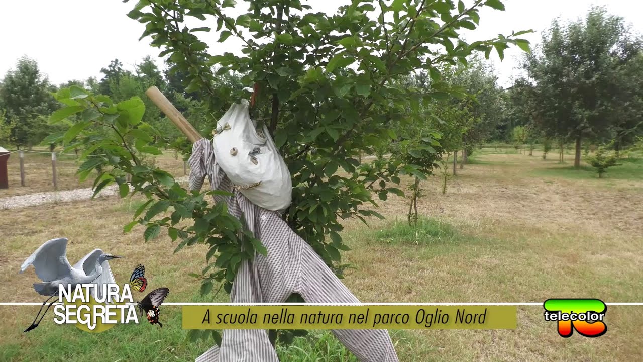 Natura Segreta: A scuola nella natura del Parco Oglio Nord 29.10.2022