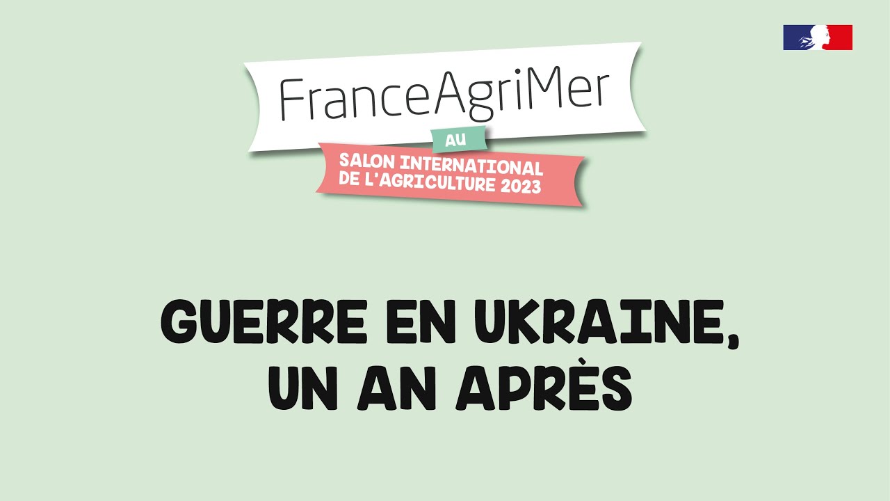 GUERRE EN UKRAINE, UN AN APR&Egrave;S : QUELS IMPACTS SUR LES MARCH&Eacute;S DES GRANDES CULTURES ?